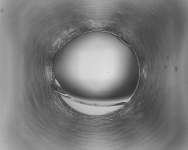 X0000054441348200508191601