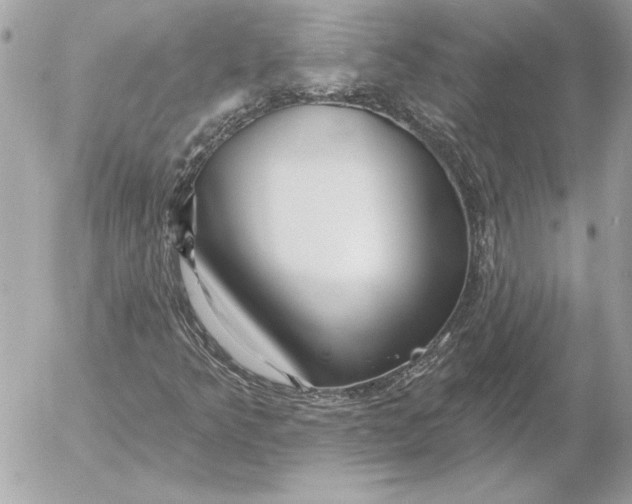 X0000054441349200508191601