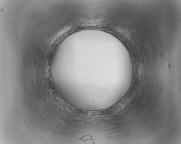 X0000054441350200508191601