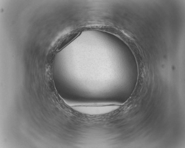 X0000054441351200508191601