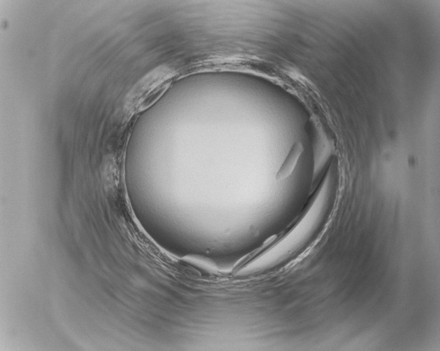 X0000054441353200508191600