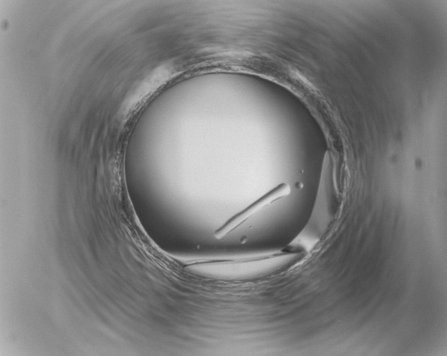 X0000054441354200508191600