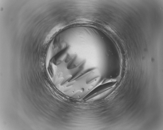 X0000054441355200508191600