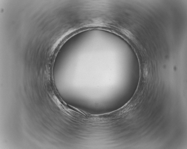 X0000054441356200508191600