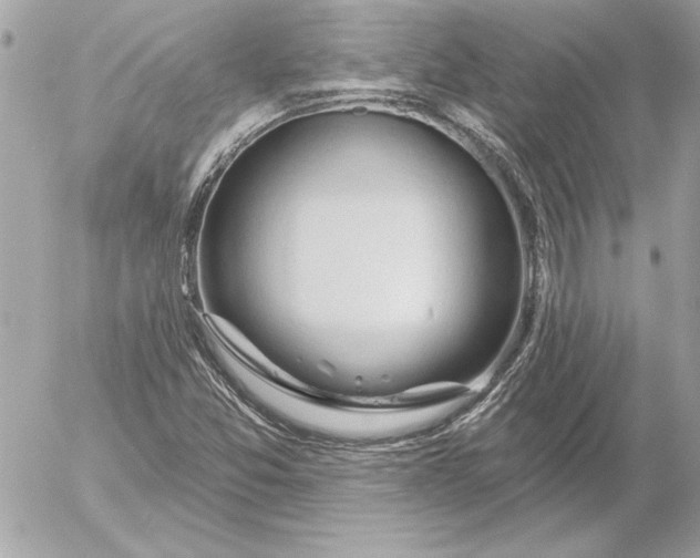 X0000054441357200508191600