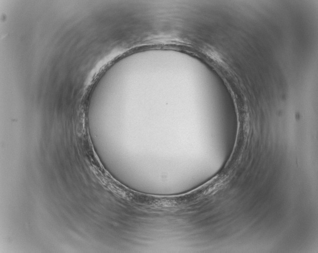 X0000054441358200508191600