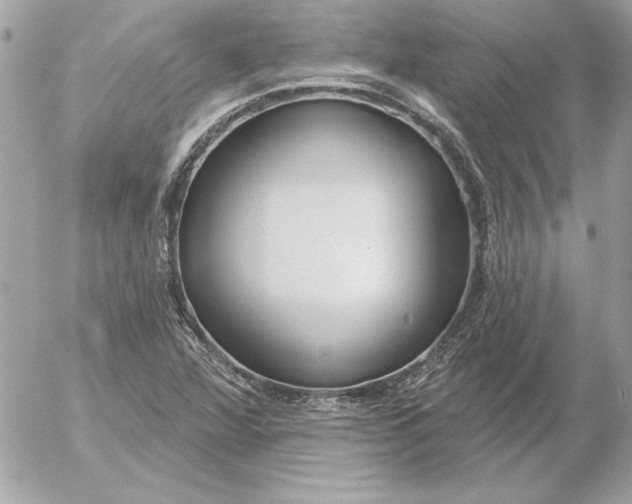 X0000054441360200508191600