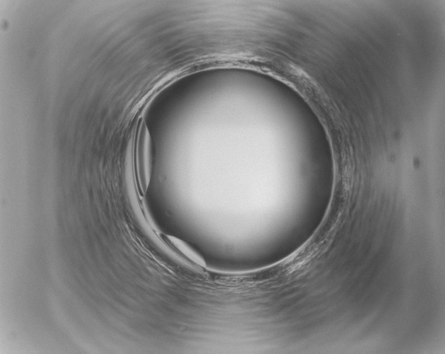 X0000054441361200508191600