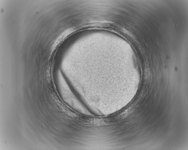 X0000054441362200508191600