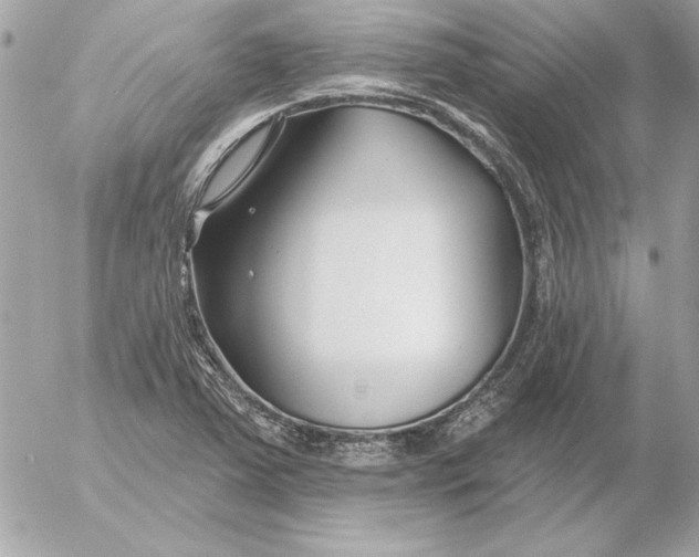 X0000054441363200508191600