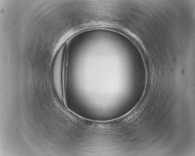 X0000054441365200508191600