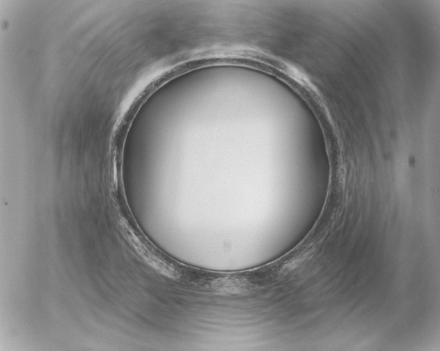 X0000054441368200508191600