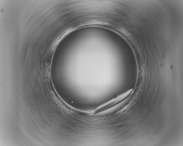 X0000054441369200508191600