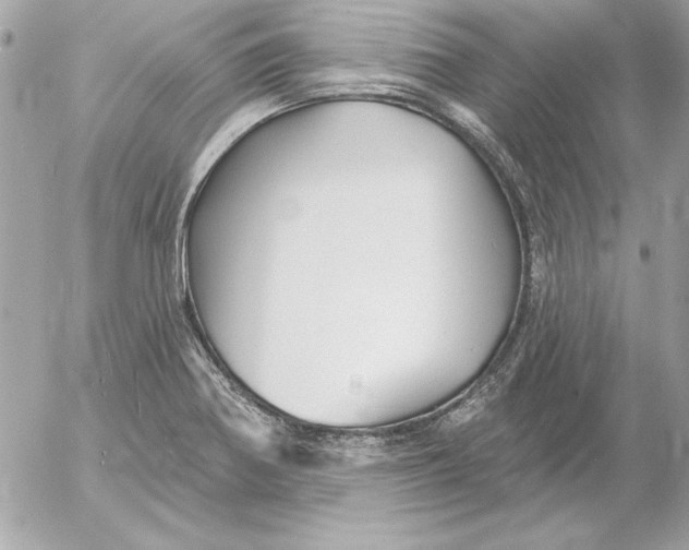 X0000054441370200508191600