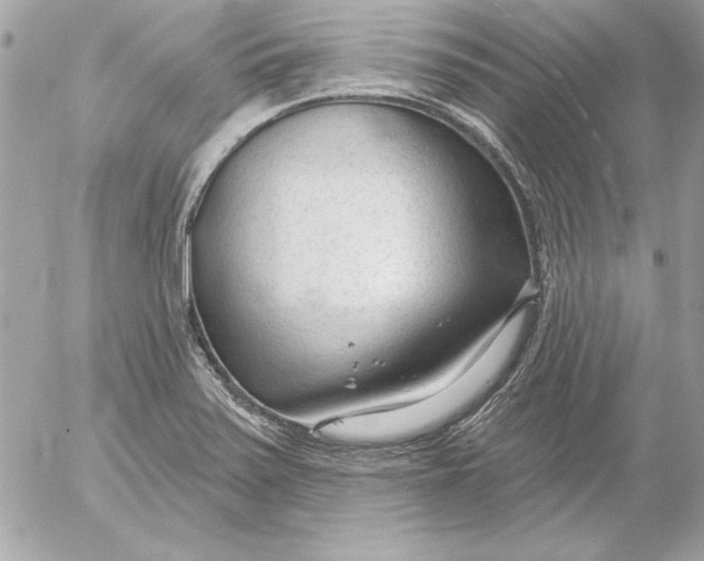 X0000054441371200508191600