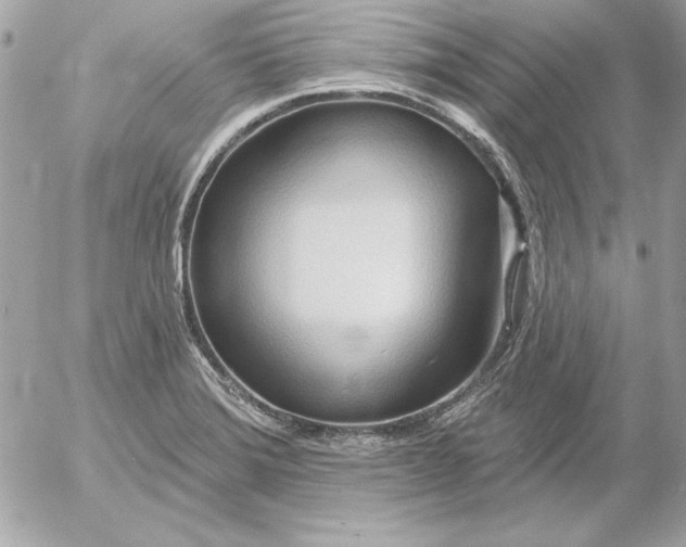 X0000054441372200508191600