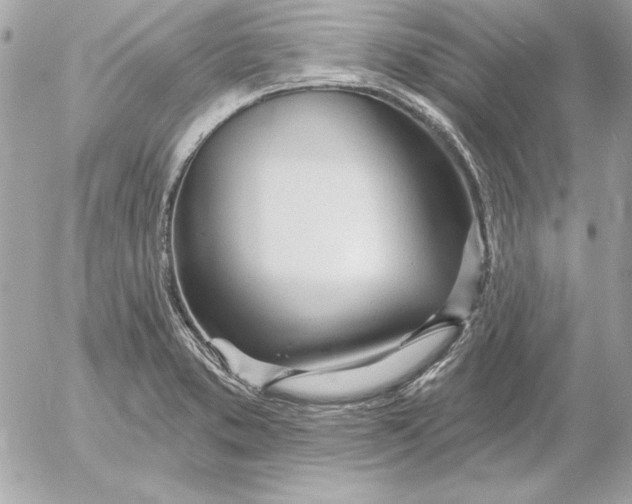 X0000054441373200508191600