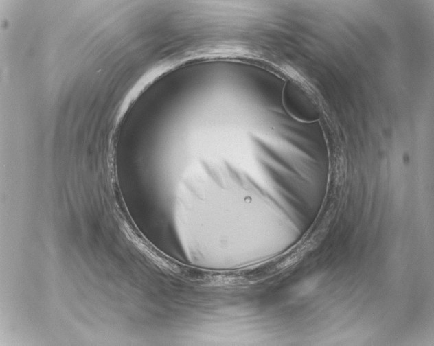 X0000054441374200508191600