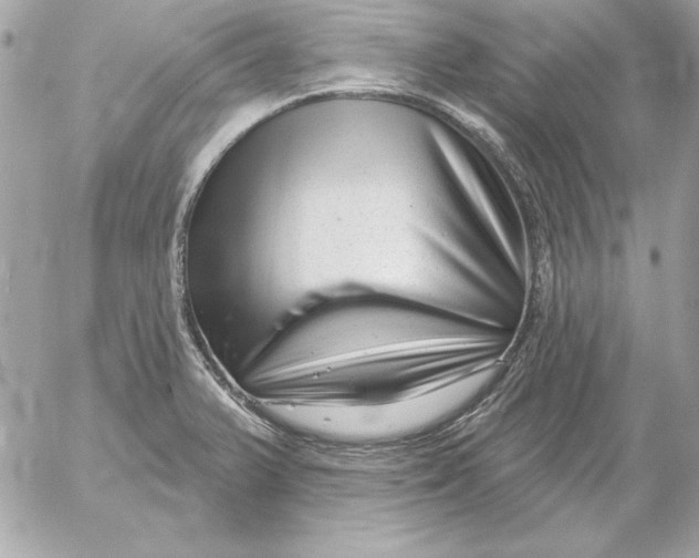 X0000054441375200508191600