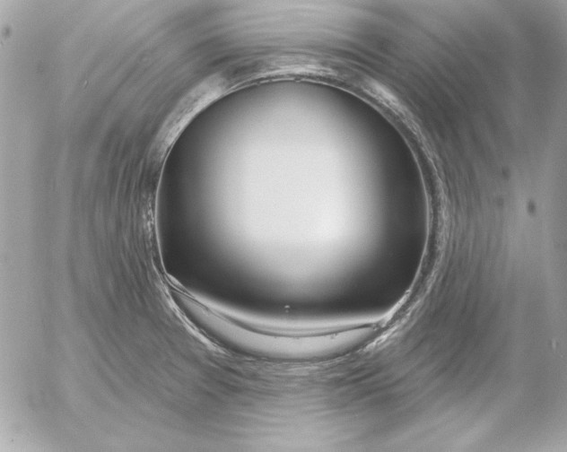 X0000054441377200508191600