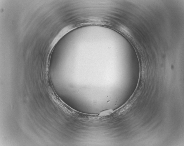 X0000054441378200508191600