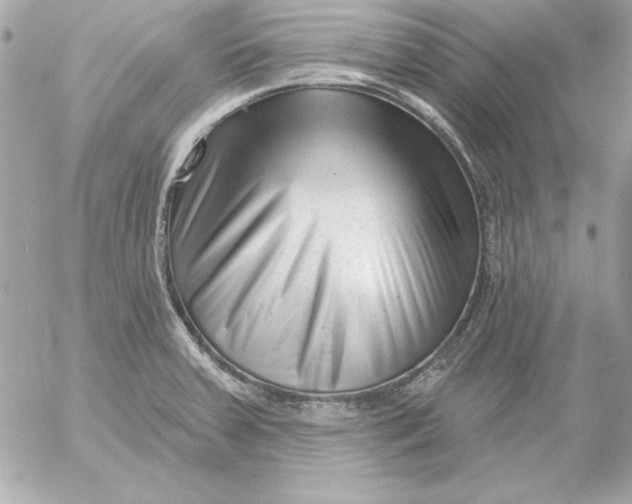 X0000054441379200508191600