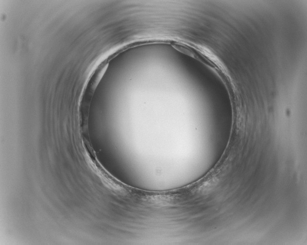 X0000054441380200508191600