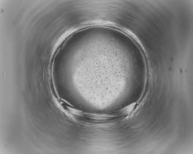 X0000054441381200508191600