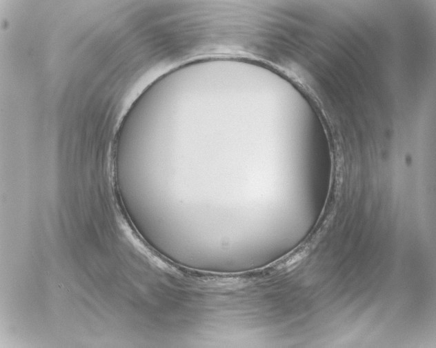 X0000054441382200508191600