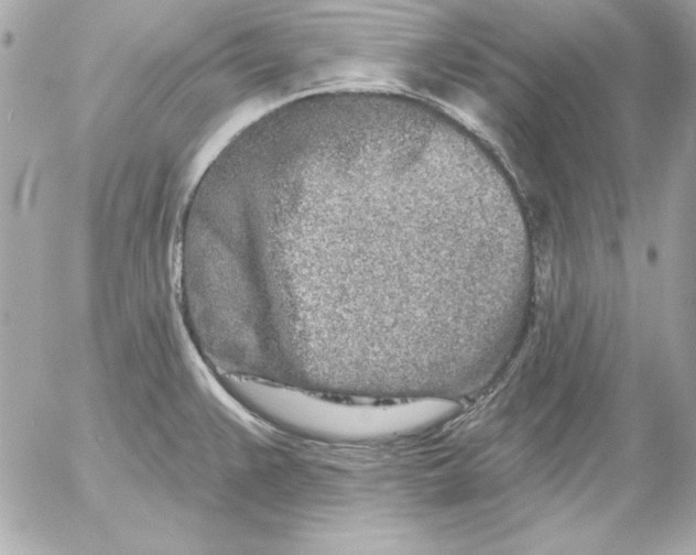 X0000054441383200508191600