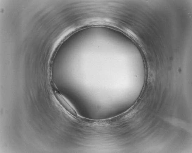 X0000054441384200508191600