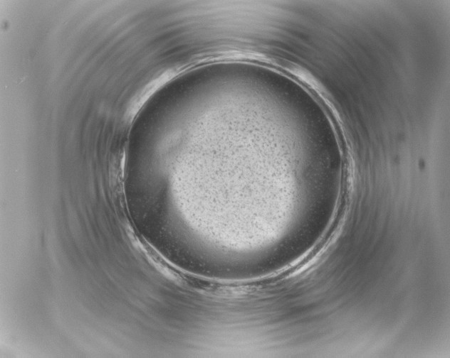 X0000054441385200508191600