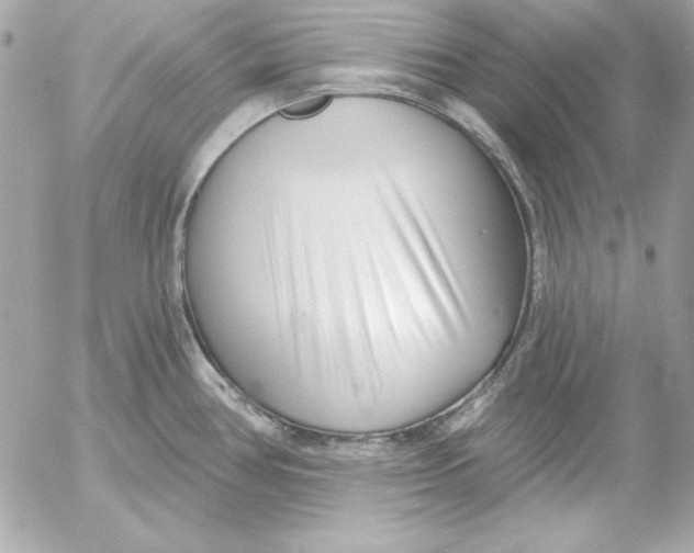 X0000054441386200508191600