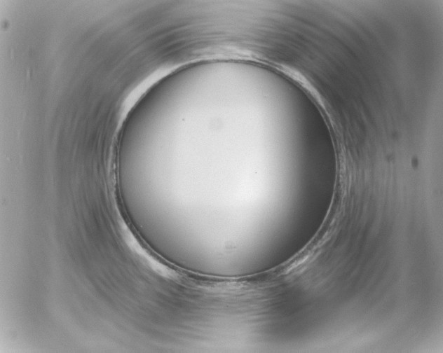 X0000054441387200508191600