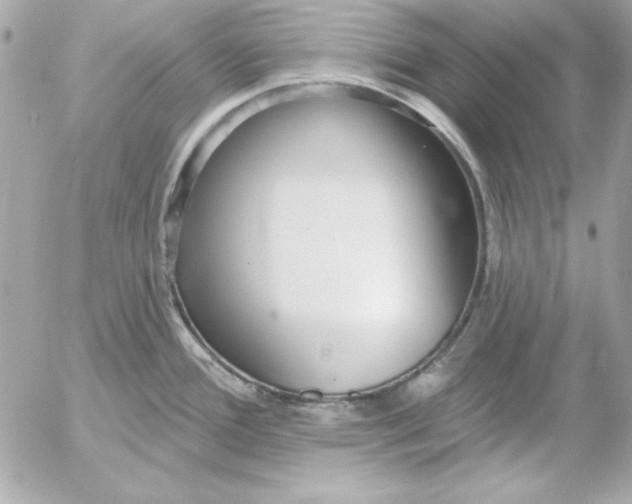 X0000054441388200508191600