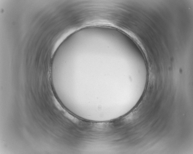 X0000054441390200508191600