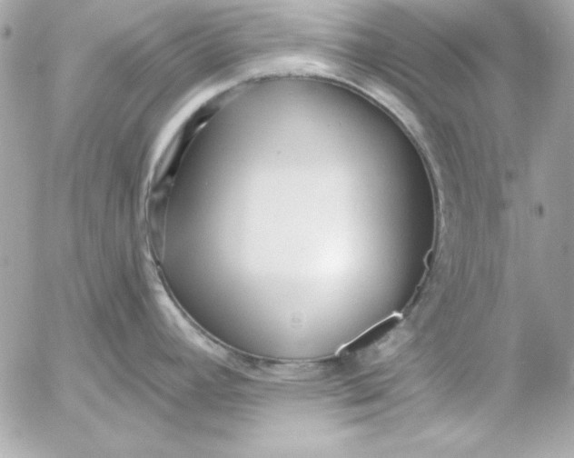 X0000054441392200508191600