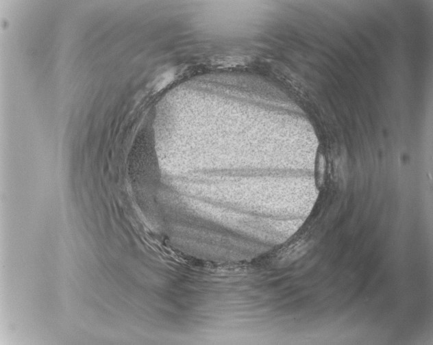 X0000054441393200508191559