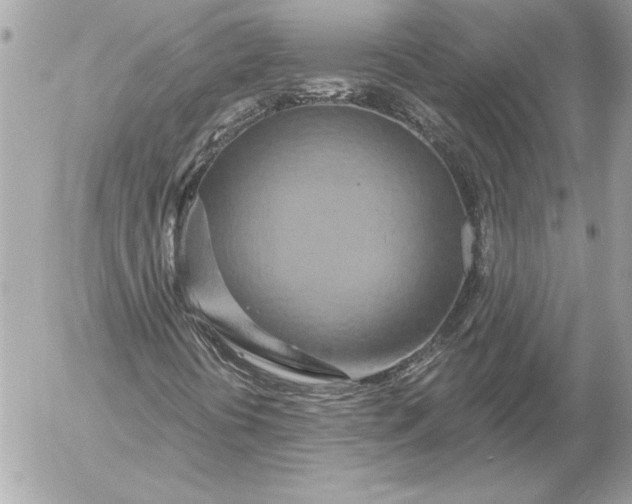 X0000054441394200508191559