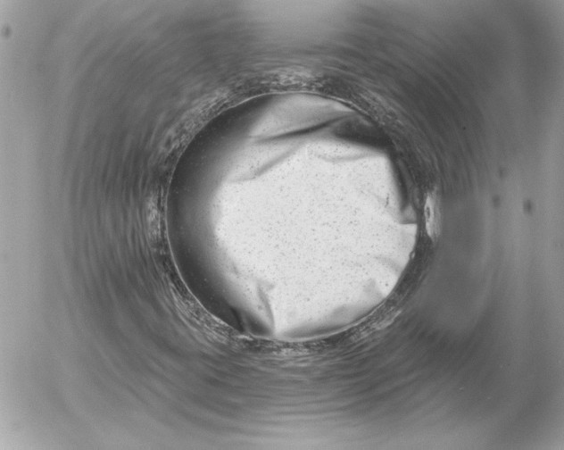 X0000054441395200508191559