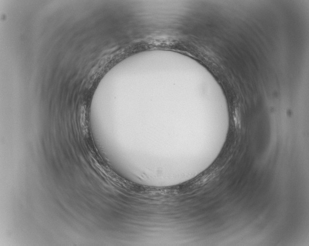 X0000054441396200508191559