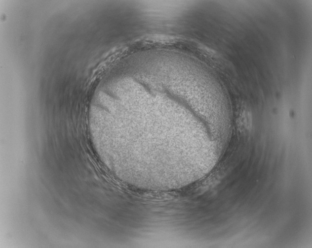 X0000054441397200508191559