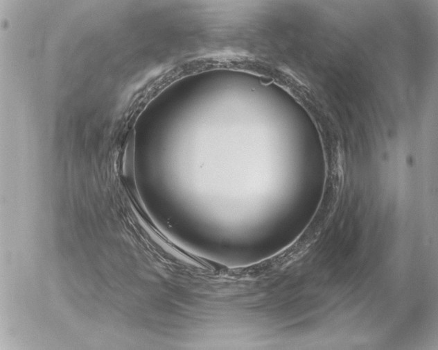 X0000054441398200508191559