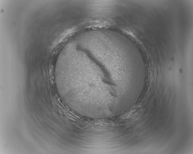 X0000054441399200508191559