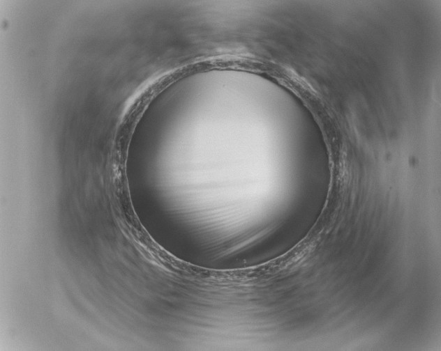 X0000054441400200508191559