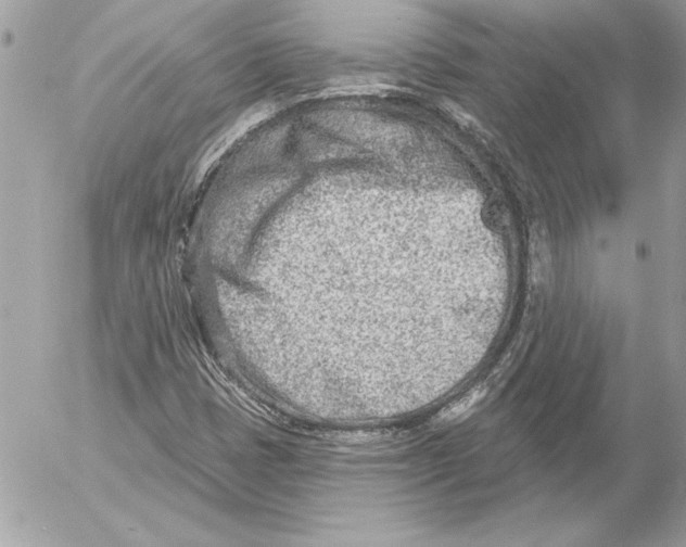 X0000054441401200508191559