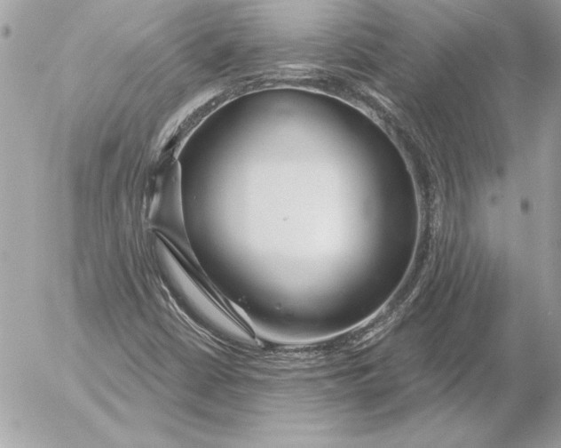 X0000054441402200508191559