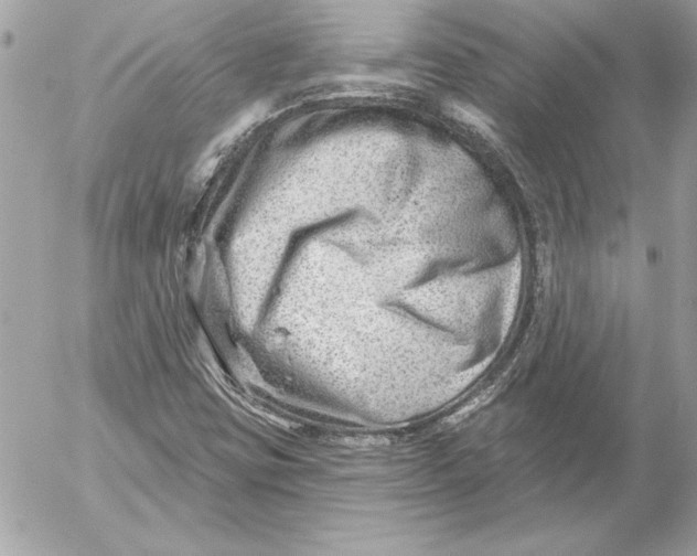 X0000054441403200508191559