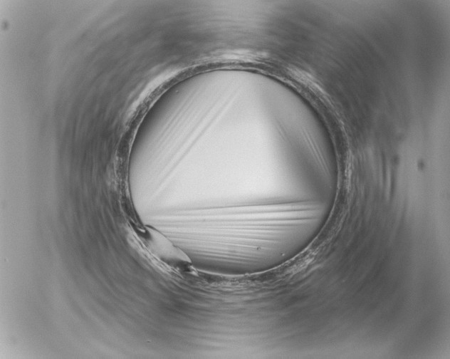 X0000054441404200508191559