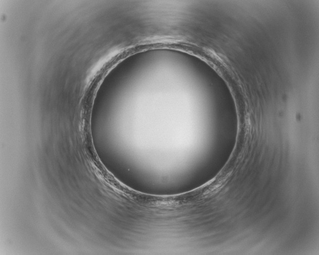 X0000054441406200508191559